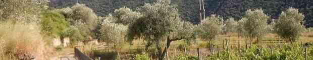 4 buone notizie